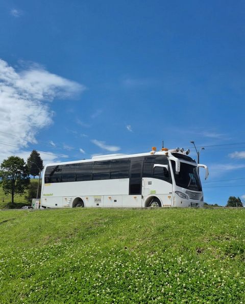 Buses para grupos y recorridos